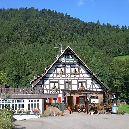 Landgasthof Untere Muehle Guest house Alpirsbach