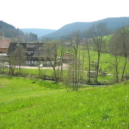Landgasthof Untere Muehle Guest house Alpirsbach