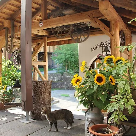 Landgasthof Untere Muehle 3*